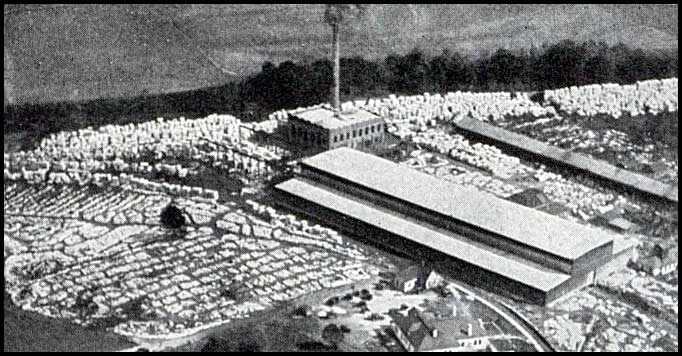 Georgia Marble Company plant at Tate