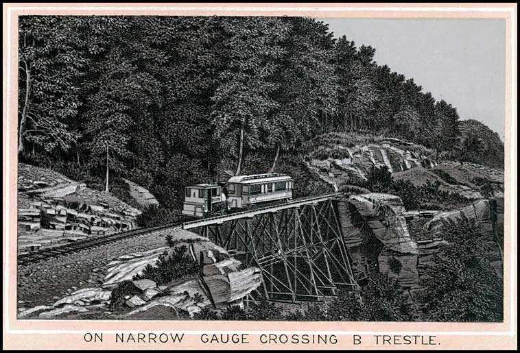 Train on trestle above ravine